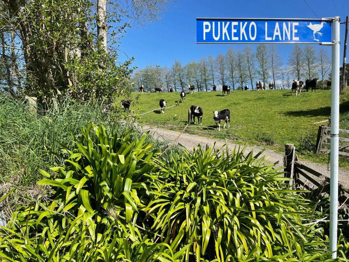 Pukeko Lane Apartment Tauranga Exterior photo